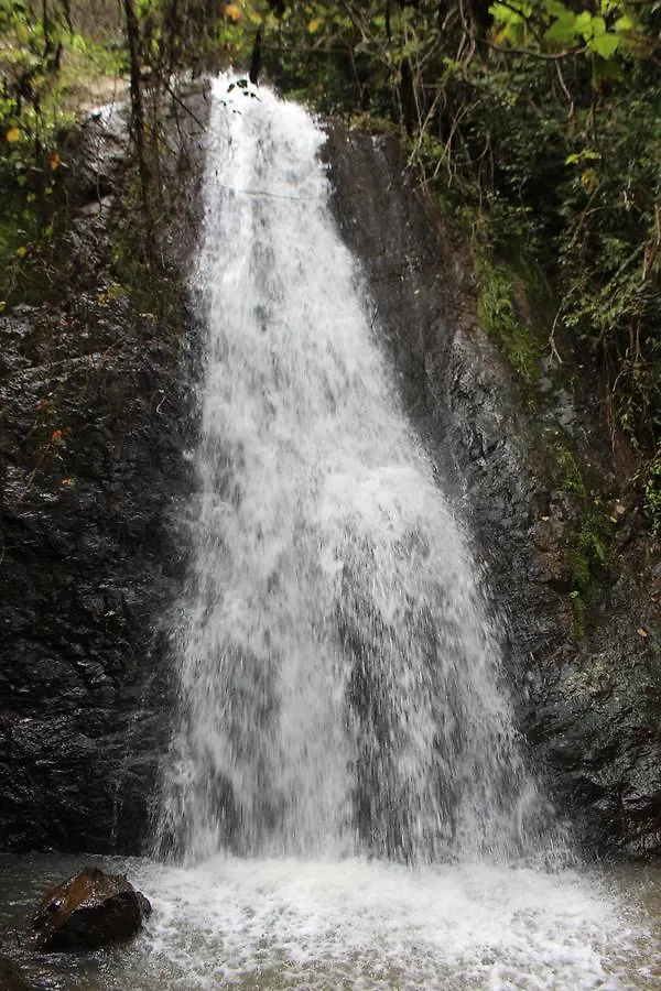 Finca Los Laureles Pensionat Cali 0*,  Colombia