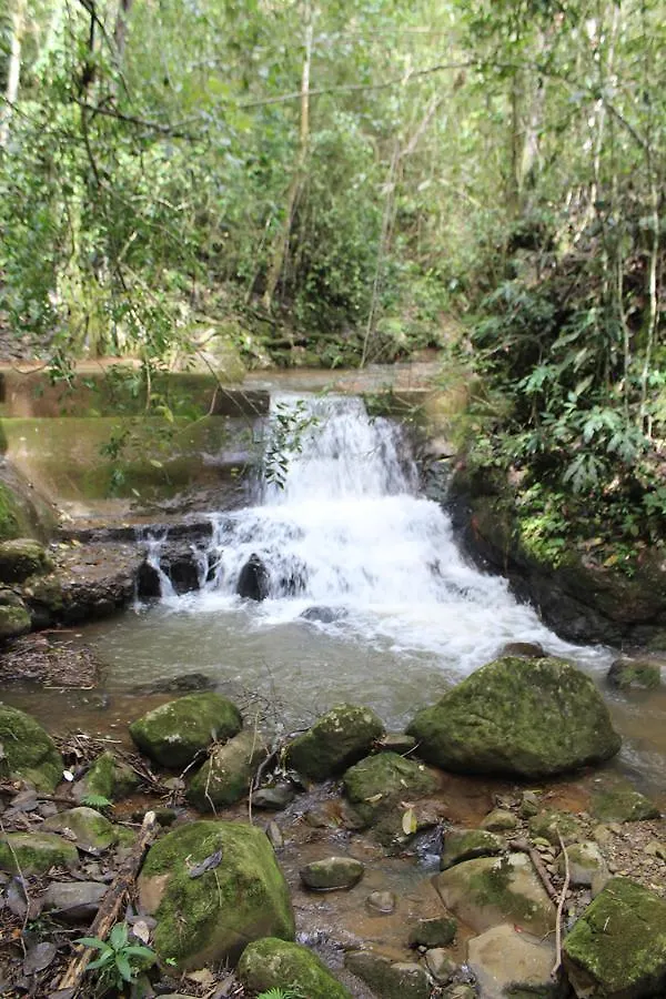Lantställe Finca Los Laureles Pensionat Cali Colombia